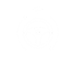 VEHICLE-AUTOMATION-ICON.png